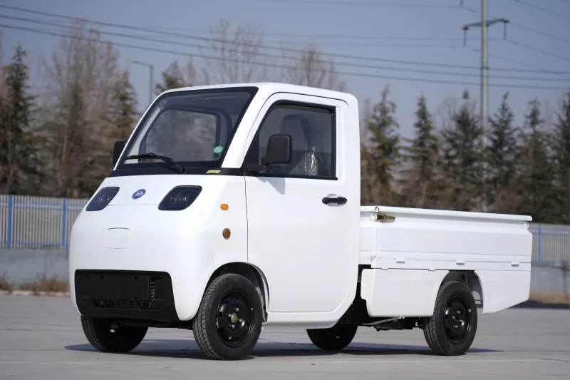 Mini Electric Vehicle Transport Van 4 Wheels Twee Wing Deuren